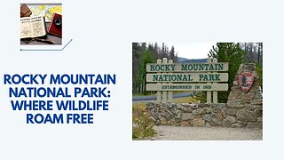 Rocky Mountain National Park: Where Wildlife Roam Free