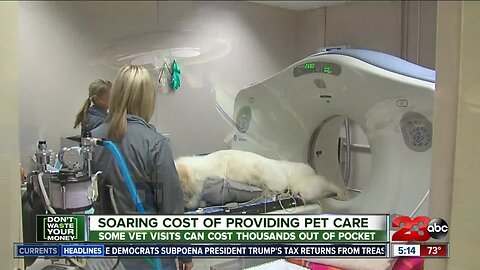 DWYM: A look at pet care costs, pet insurance