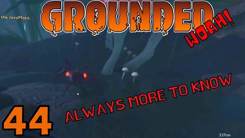 The Back Yard Can Be A Little Scary - Grounded Release - 44
