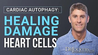 Cardiac Autophagy: Healing Damaged Heart Cells