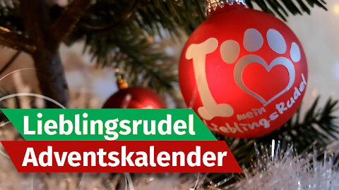 Weihnachtsgeschenke für Hunde ➜ 5. Hunde Adventskalender 2020