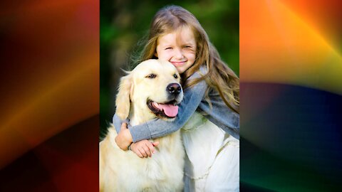 Child hugs Golden before school.