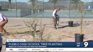 Pueblo High School students plant trees