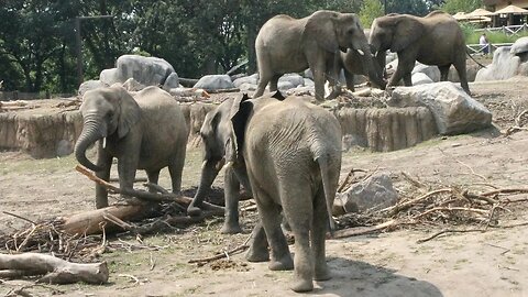 Omaha Zoo