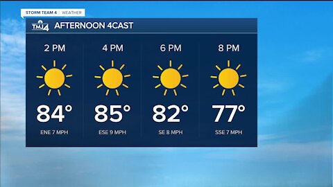 Sunny Sunday with less humidity