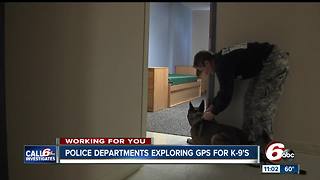 Police departments exploring GPS for K9 officers