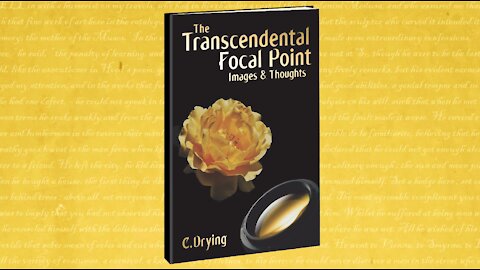 BOOK PROMO: The Transcendental Focal Point: Images & Thoughts