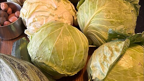 Cabbage Slaw | Piccalilli Relish | Sauerkraut