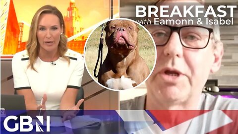 American Bully MAULS 11 year old girl in Birmingham: Isabel Webster & Mike Riley disagree on ban