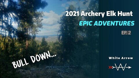 BULL DOWN....agonizing recovery| SOLO Archery ELK HUNT, 2021. EP. 2.
