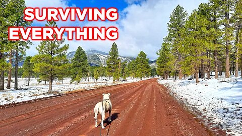 We Face Winter Weather In Our New Camp But We Are Safe Even In The Snow | Ambulance Conversion Life