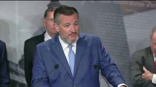 Sen Cruz: Which Writer Thought It Would Be A Good Idea To Call Hispanics Tacos?