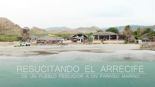 Resucitando el arrecife de Cabo Pulmo