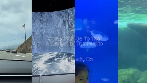 Aquarium Of The Pacific | Environmental Education