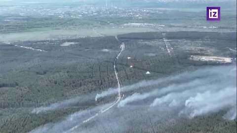 Artillery strike on the positions of the Armed Forces of Ukraine in the forest near Severodonets