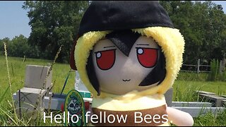 Hello fellow Bees