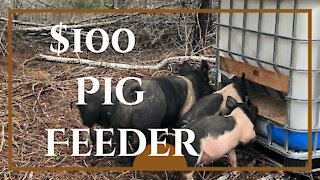 Building A 1500 Pound Hog Feeder For $100!