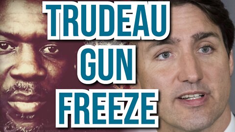 Justin Trudeau introduces strict gun control on handguns in Canada
