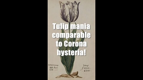 Tulip mania similar to Corona hysteria!