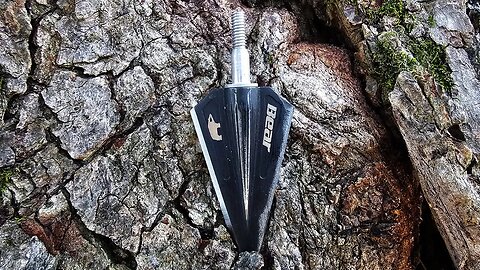 Bear Razorhead Broadhead Review