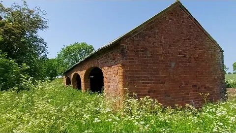 Abandoned Cow Shed Near West Haddon