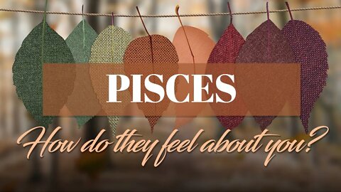 Pisces♓ They feel this DEEP SOUL love between you! A spiritual awakening moment happens!