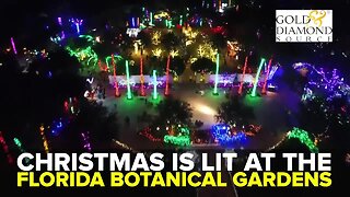 Florida Botanical Gardens lights up Largo for the holidays | Taste and See Tampa Bay