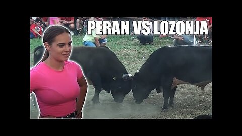 Peran (vl. Martina Batista) lozonja (vl. Braca sisic) bistrani kakanj