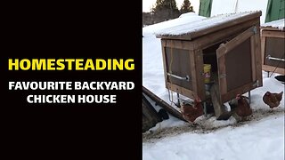 HOMESTEADING: Favourite Backyard Chicken House