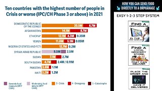 Top 10 Countries in EXTREME HUNGER in 2021