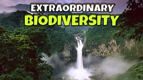NATURE'S MOST POTENT CLIMATE SOLUTIONS | THE EXTRAORDINARY BIODIVERSITY | INDIGENOUS POPULATIONS