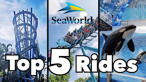Top 5 SeaWorld Orlando Rides