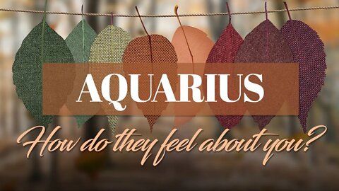 Aquarius♒ They don't want to WAIT & WANT YOU RIGHT NOW! Get more info, something's off🕵️❓