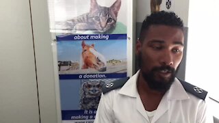 SOUTH AFRICA - Cape Town - The SPCA’s Wildlife Unit (Video) (Ahe)