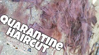 Quarantine Haircut | My Daughter Cut My Hair