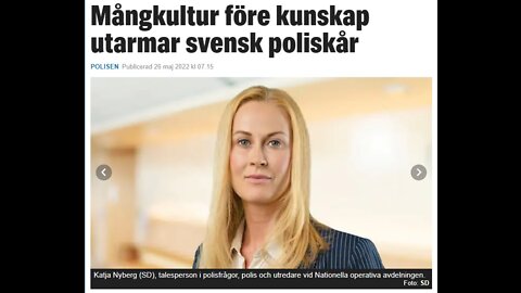 Presstopp! Polisen utarmas. Vad gör vi när den helt gett upp?