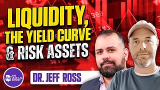 The World of Macroeconomics Explored: Jeff Ross Talks Liquidity, Yield Curve and Risk Assets