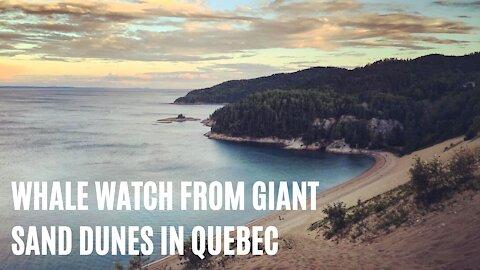 You Can Whale Watch From The Top Of These Giant Sand Dunes In Quebec