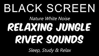 Relaxing Jungle RIVER SOUNDS and Bird Songs | Sleep, Relaxation, and Study