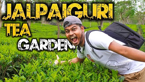 Jalpaiguri Tea Garden : সন্ধ্যে নামলেই ভয়! এখানে নাকি চিতার আনাগোনা' #teagarden