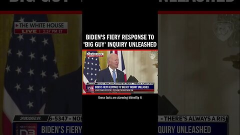 Biden's Fiery Response to 'Big Guy' Inquiry Unleashed