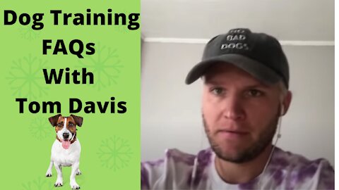 Dog Training FAQs With Tom Davis