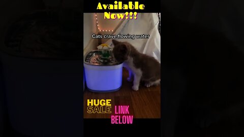 Available Now!!! Epic Cat Water fountain! LINK BELOW!!!