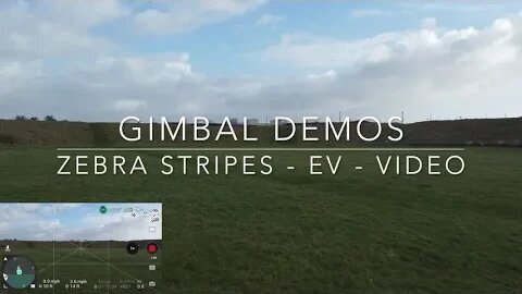 DJI Mini 2: DJI Fly app /Gimbal Demos, Zebra Stripes