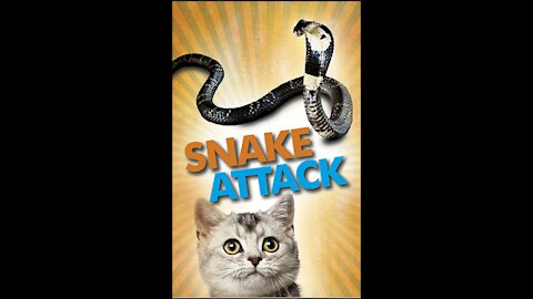The Snake Attack
