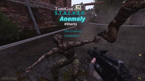The Greeting Committee - S.T.A.L.K.E.R Anomaly Short Scene