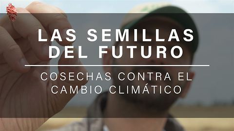 Semillas para luchar contra el cambio climático