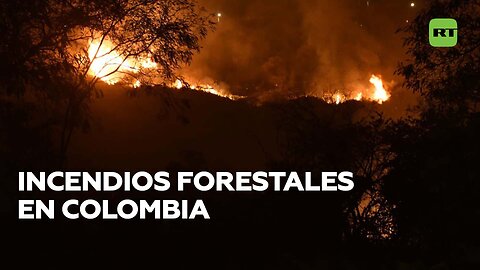 Incendios forestales consumen unas 60 hectáreas de bosque en Colombia