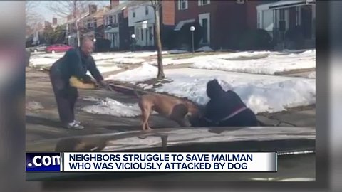 Video shows dog viciously attacking mail carrier in Detroit
