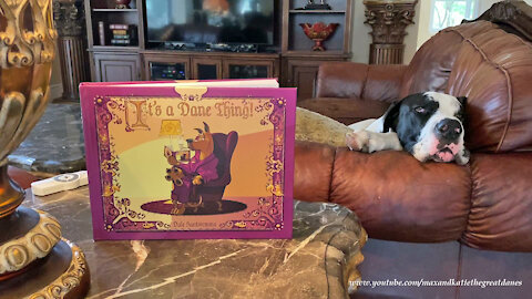 Great Dane Relaxes On the Sofa With Dale Toons It's A Dane Thing Book